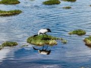 Cina: Qinghai, panorama nella Riserva naturale di Qinghai Longbao