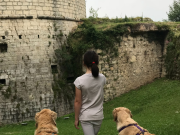 A spasso in Castello… con il cane. Al via “We Dog Castello”