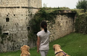 A spasso in Castello… con il cane. Al via “We Dog Castello”