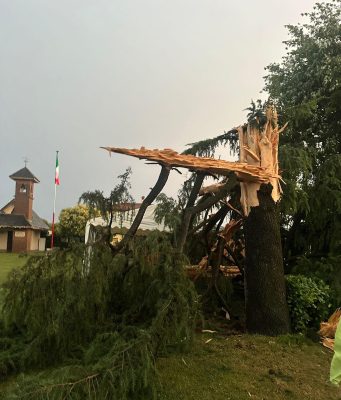Paderno, un fulmine si abbatte su un albero e lo distrugge VIDEO