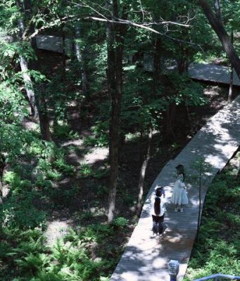 Cina: turismo estivo a Yichun nello Heilongjiang