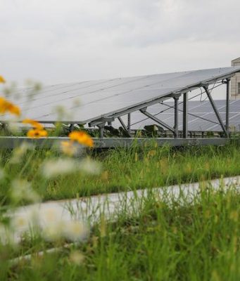 Cina: consumo energetico per unità di PIL -11,6 % in 4 anni