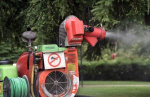 Caso di chikungunya a Brescia: dove scatta la disinfestazione