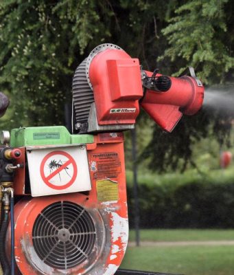 Caso di chikungunya a Brescia: dove scatta la disinfestazione