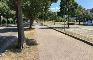 Depavimentazione e nuovi alberi contro caldo, smog e allagamenti