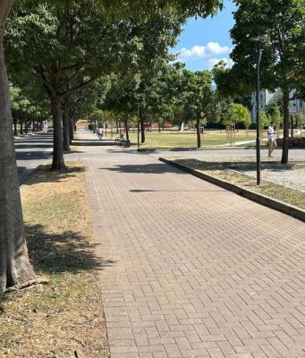 Depavimentazione e nuovi alberi contro caldo, smog e allagamenti