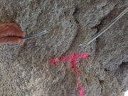 Forra, sabotati i sensori di sicurezza. “Gesti irresponsabili”