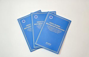 Cina: rapporto think tank, progressi nella protezione globale del patrimonio culturale tramite la cooperazione