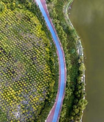 Cina: presenta piano 2025-2030 per promuovere ambienti sani