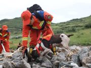 Cina: Gansu, in corso ricerche, salvataggi dopo disastro
