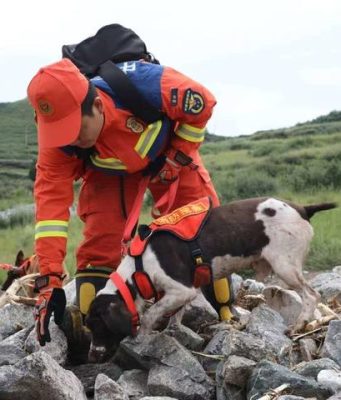 Cina: Gansu, in corso ricerche, salvataggi dopo disastro