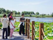 Cina: Xinjiang, emerse nuove zone umide vicino a confini con deserto