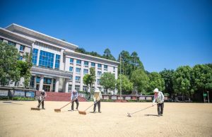 Cina: Chongqing, essiccazione del riso nel distretto di Yongchuan