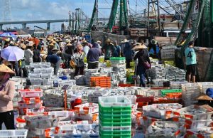 Cina: Hainan, ripristino della pesca a Wenchang