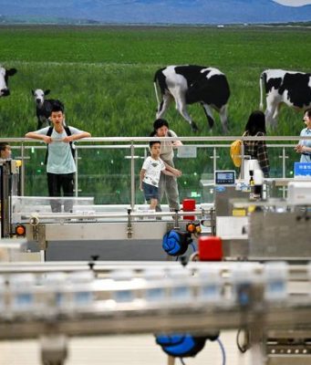 Cina: sviluppo di alta qualità dell’industria lattiero-casearia nella Mongolia Interna