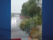 Intenso temporale sul bresciano, alberi abbattuti. La conta dei danni