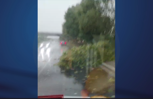 Intenso temporale sul bresciano, alberi abbattuti. La conta dei danni