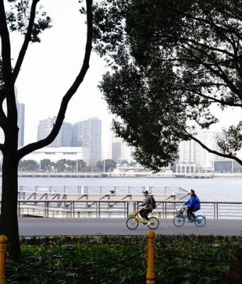 Cina: spazi verdi fioriscono a Shanghai con i suoi oltre 1.000 parchi