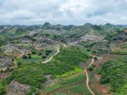 Cina: Yunnan, industria dei cactus a Wenshan