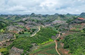 Cina: Yunnan, industria dei cactus a Wenshan