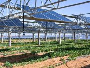 Cina: Mongolia Interna sviluppa progetti fotovoltaici nel deserto