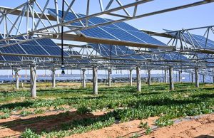 Cina: Mongolia Interna sviluppa progetti fotovoltaici nel deserto