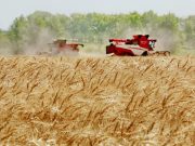 Cina: ministro, nuovo record di produzione cereali nel periodo 2021-2025