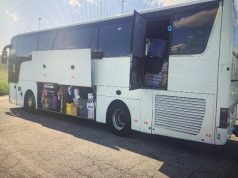 Cuccioli nascosti in un autobus. La Polizia Stradale li sequestra