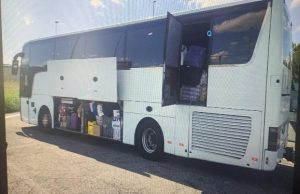 Cuccioli nascosti in un autobus. La Polizia Stradale li sequestra