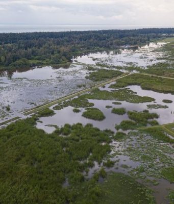 Cina: Parco nazionale delle zone umide di Haiwei a Hainan