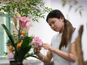 Cina: eredità della composizione floreale in stile Hui a Hefei