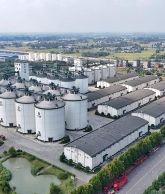 Cina: a Chengdu tecnologie avanzate per stoccaggio grano