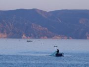 Cina: zona gola di Longyang sviluppa industria ittica, turistica