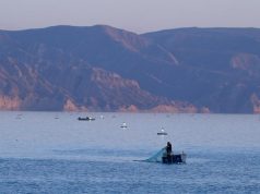 Cina: zona gola di Longyang sviluppa industria ittica, turistica