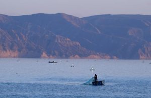 Cina: zona gola di Longyang sviluppa industria ittica, turistica