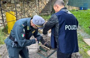 Armi clandestine, trappole e droga in casa: arrestato 45enne