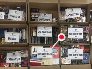 Arrestato il “topo di biblioteca”: rubati quasi mille DVD e 200 libri