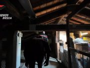 Blitz all’alba: 8 arresti per tentato omicidio, droga e armi – VIDEO