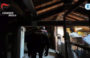 Blitz all’alba: 8 arresti per tentato omicidio, droga e armi – VIDEO