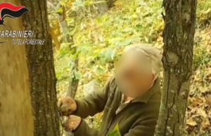 Bracconaggio nel Bresciano: 67 denunce e centinaia di sequestri