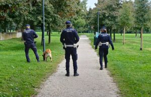 Controlli nei parchi: in sei mesi oltre 1.200 interventi della Locale