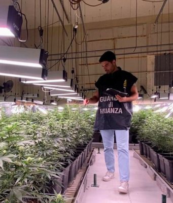 Maxi piantagione di marijuana a Poncarale: 3 arresti e 7 indagati