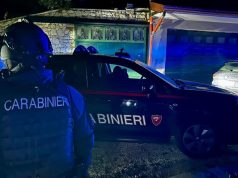 Pluripregiudicato spara al vitello del vicino. Ora si trova in carcere