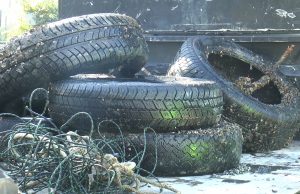 “Fondali Puliti”, l’edizione 2025 chiude con una tonnellata di rifiuti