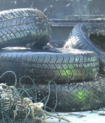 “Fondali Puliti”, l’edizione 2025 chiude con una tonnellata di rifiuti