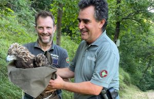 A Brescia nasce il CRASE, centro per la fauna selvatica ed esotica