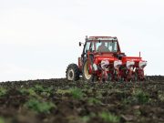 Agricoltura bresciana, annata in crescita tra criticità e prospettive