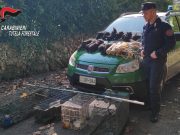 Bracconaggio, reti e trappole a Vallio. Denunciato un 78enne