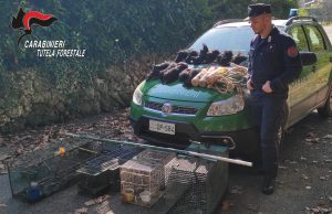 Bracconaggio, reti e trappole a Vallio. Denunciato un 78enne