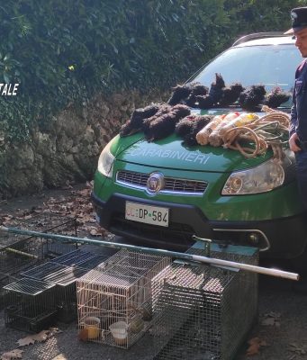 Bracconaggio, reti e trappole a Vallio. Denunciato un 78enne